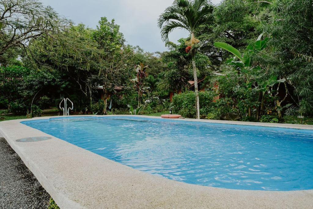 Lodge Mirador - Great Swimming Pool - Kitchen - Bbq - Netflix Tajo Alto Exterior photo